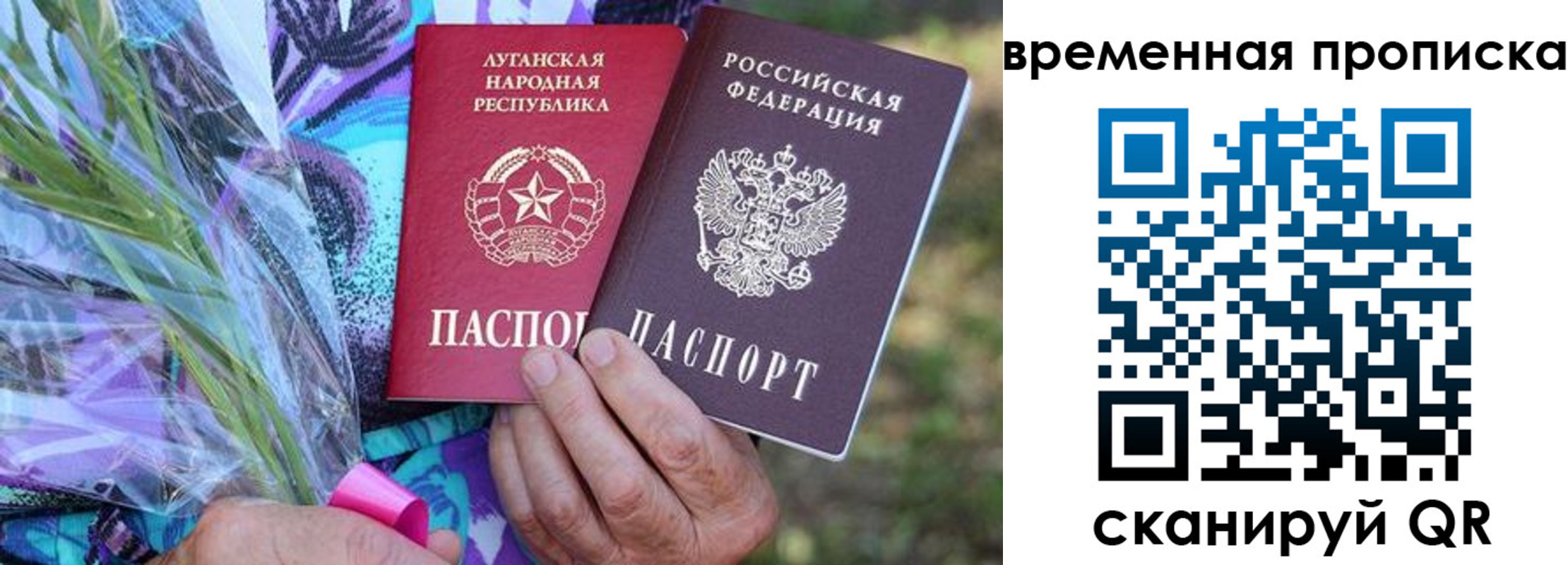 купить прописку в Струнино